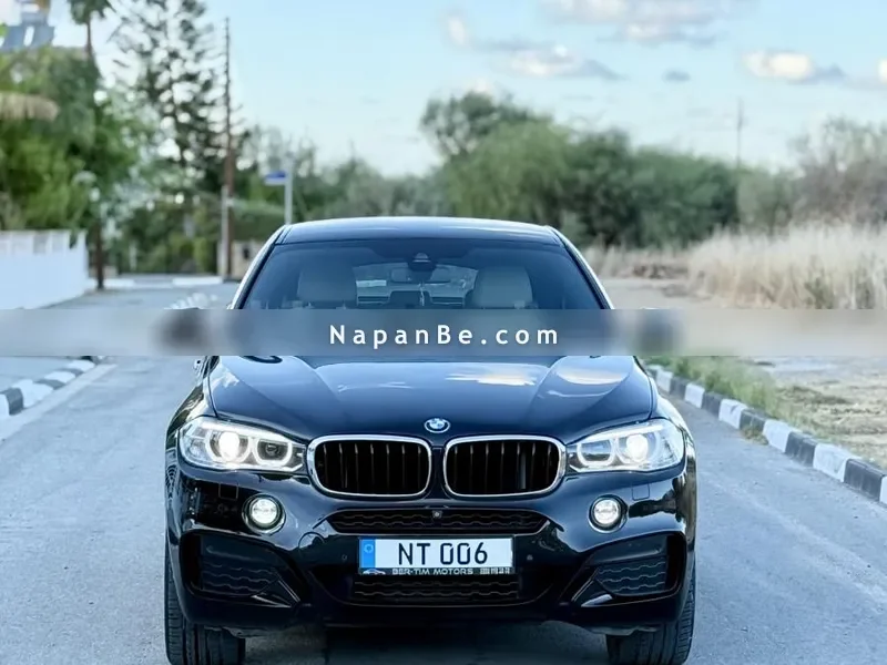 BMW X6