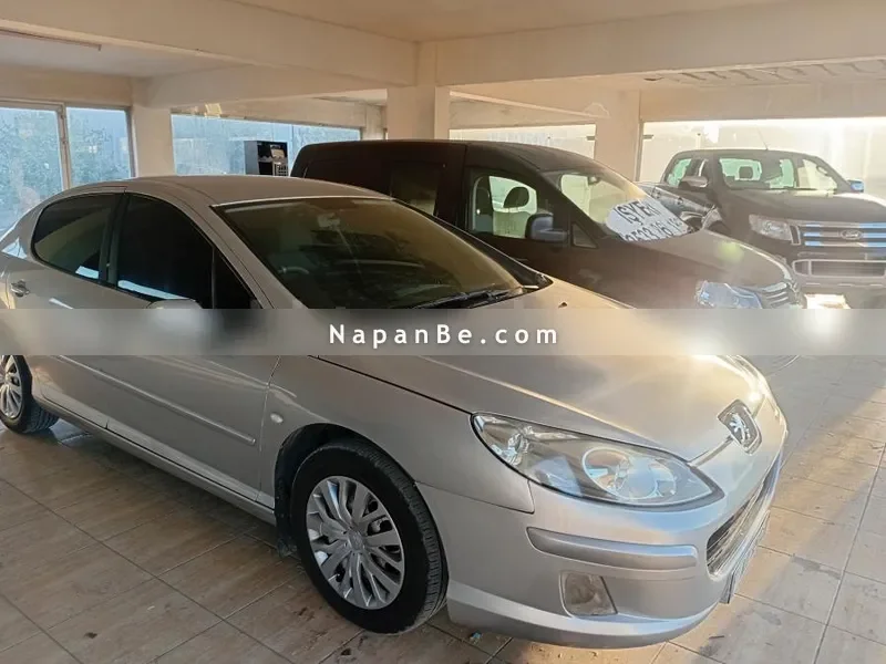 Peugeot 407